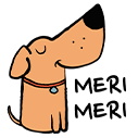 Merimeri