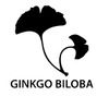 Ginkgo biloba